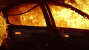 frameworks GIF by Topshelf Records