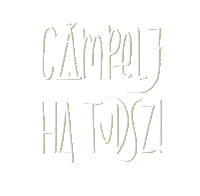 Camp Camping Sticker by helloroar
