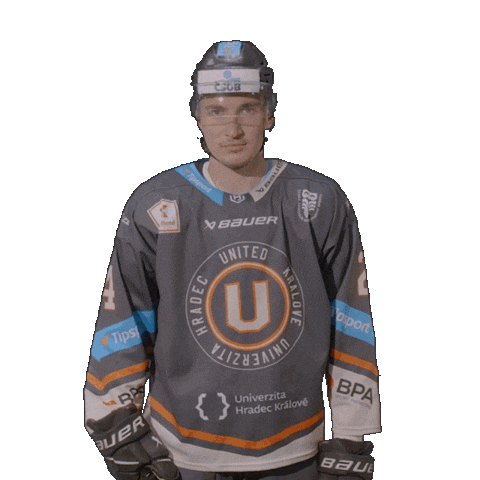 Uhk Sticker by UNIted HK