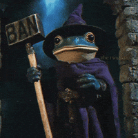 The_Frog_Mage magic frog fantasy wizard GIF
