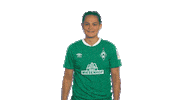 Sticker Emotionen Sticker by SV Werder Bremen