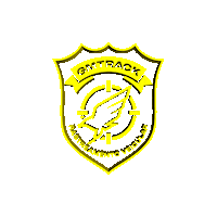 Protecao Veicular Sticker by GMTRACKK