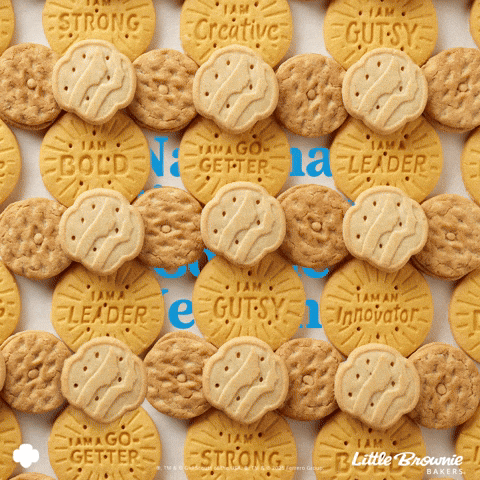 GIF by Little Brownie Bakers