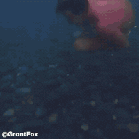 Under Water Wtf GIF