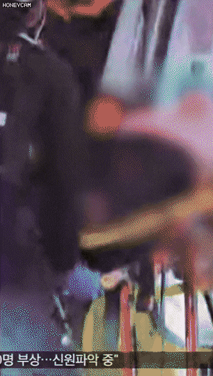 ehdgus1211 giphyupload GIF