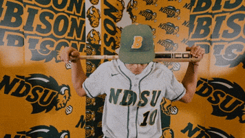 Luis Garcia Baseball GIF by NDSU Athletics