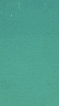 rewiredotorg pbs weight infographic flights GIF