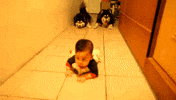 baby crawling GIF