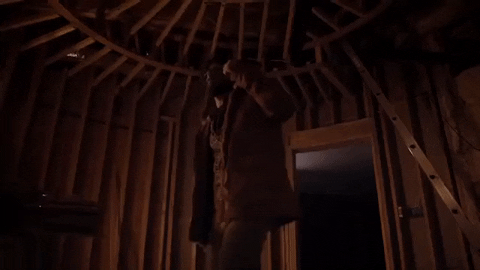 prawn GIF by Topshelf Records