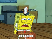 season 6 patty caper GIF by SpongeBob SquarePants