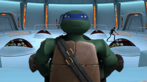 nickelodeon GIF by Teenage Mutant Ninja Turtles