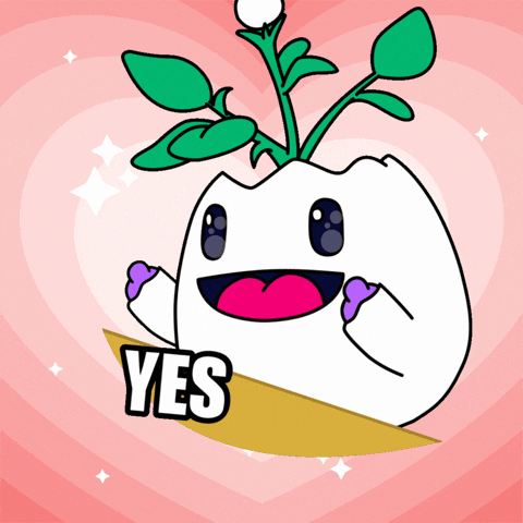 I Want Yes GIF by Magic Eden