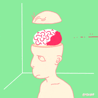 animation domination fox GIF by gifnews