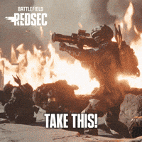 Battle Royale Fire GIF by Battlefield