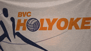 Volleyball GIF by BVC Holyoke