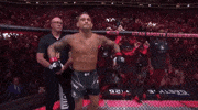 Mixed Martial Arts Sport GIF by UFC