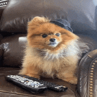 Fear Wow GIF