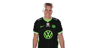 E Sports Sport Sticker by VfL Wolfsburg