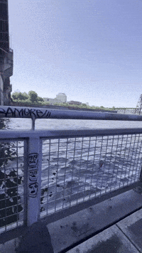Nike River GIF by EDGARDUDE