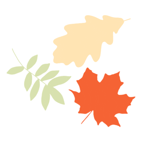 Fall Leaves Sticker by Kohl's