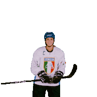 federazioneghiaccio hockey ice wintersport sportinvernali Sticker