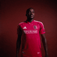 Fall Stl GIF by St. Louis CITY SC