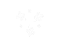 Indonesia Flora Sticker by Sejauh Mata Memandang