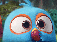 GIF by Angry Birds