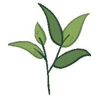 kleinenhip tree leave blad kleinenhip Sticker
