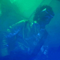 nowmorethanever rock indie alternative ne GIF