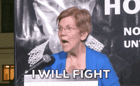 I Will Fight Elizabeth Warren GIF by GIPHY News