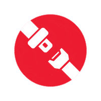 Mongol Sticker by Toyota Mongolia