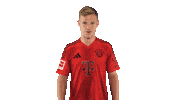 Fc Bayern Sticker by Bundesliga