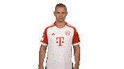 Fc Bayern Arms Sticker by Bundesliga