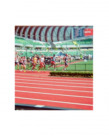 New Mexico Lobos GIF by Boston College Women's Lacrosse