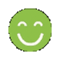 InstitutoCaminhabilidade smile feliz verde carinha Sticker