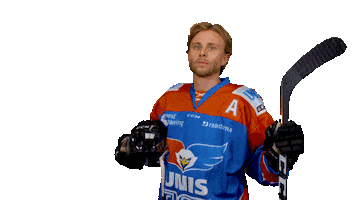 unisflyers goal 10 eagles flyers Sticker