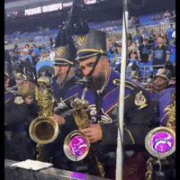 Baltimore Ravens Nfl GIF by Respective
