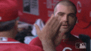 joey billy GIF by MLB