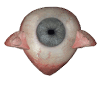 fish eye Sticker by claudiamate