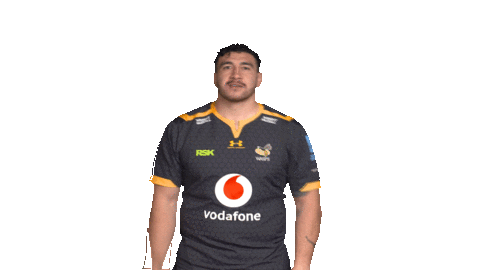 Rugby Sticker by Wasps