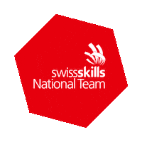 Nationalteam Sticker by SwissSkills