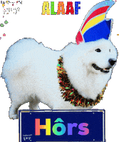 Carnaval Benji Sticker