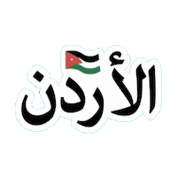 Celebration Flag Sticker by All Jordan Youth Commission