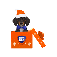 supercan_peru dog christmas regalo supercan Sticker
