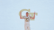 Georgia Tech Football Sport GIF by Georgia Tech Yellow Jackets