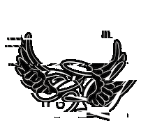 Angel Wings Love Sticker by Charlotte Lawrence