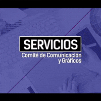 GIF by Erasmus Student Network Spain