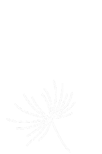 marlinu marlinu marlinuat club der abenteurer Sticker