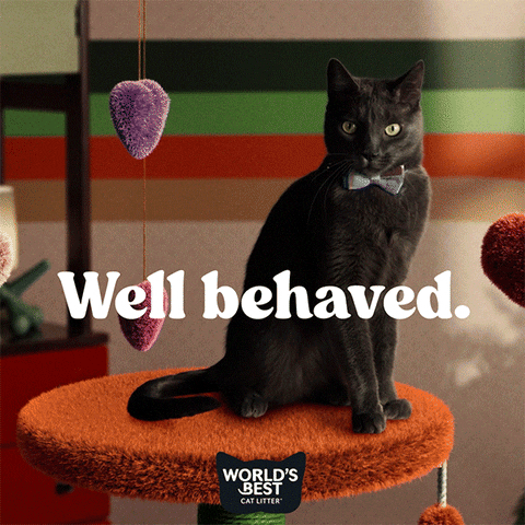 Valentines Day Love GIF by Worlds Best Cat Litter